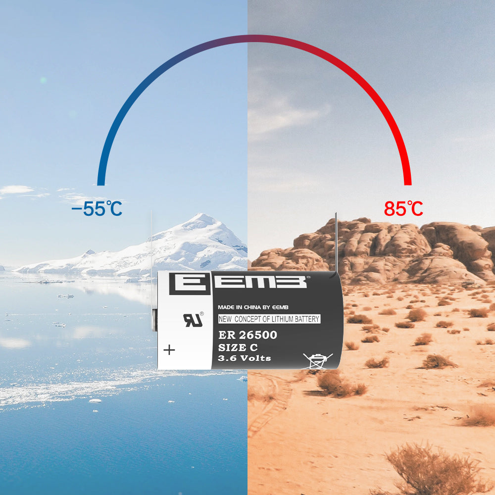 ER26500-FT --  C  3.6V 9000mAh