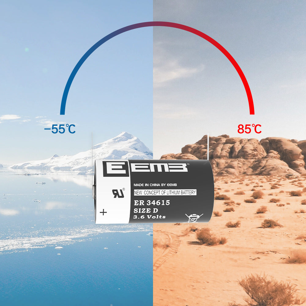 ER34615-FT --  D  3.6V 19000mAh