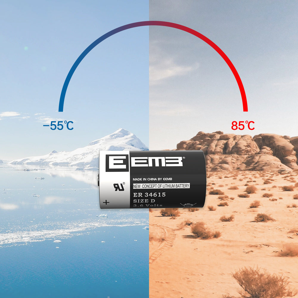 ER34615 --  D  3.6V 19000mAh
